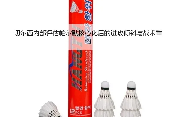 切尔西内部评估帕尔默核心化后的进攻倾斜与战术重构